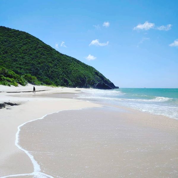 Playa Guayacán