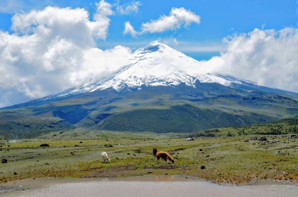 Volcán Cotopaxi