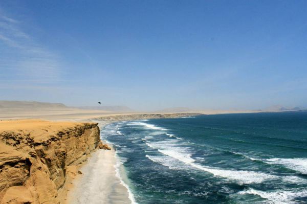 La Reserva Nacional de Paracas