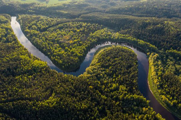 Río Amazonas