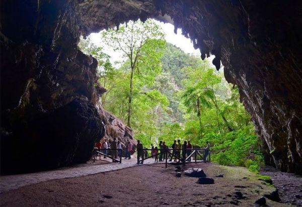 La Cueva del Guácharo