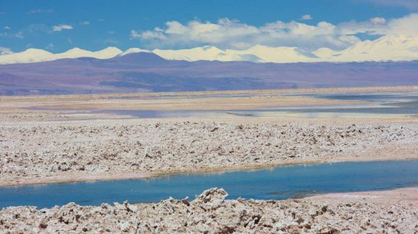 La Laguna Chaxa