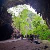 La Cueva del Guácharo